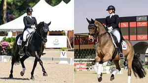 Delhi High Court Refuses to Alter Asian Games Dressage Team, Upholds EFI Selection Process